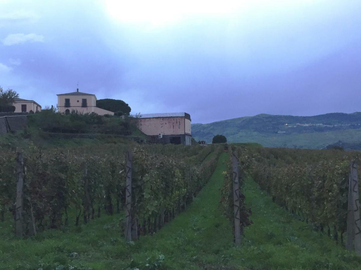 Etnasentieri Wine House On Etna Mount Villa Belpasso Exteriör bild